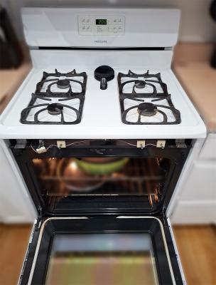 Frigidaire FFGF3023LWE Range