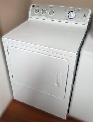 GE GTDP490GD0WS Dryer